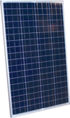 altE Poly 100 Watt 24V Solar Panel
