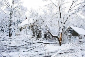 Downed power lines? No problem, as long as you're the neighbor with the silent backup power system.