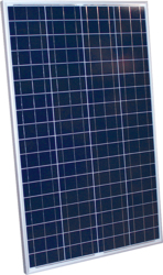 altE Poly 100 Watt 24V Poly Solar Panel
